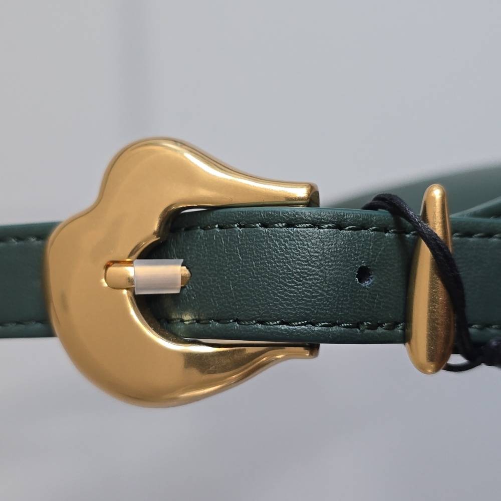 NWT Cuyana Mini Celestia Bag In Bottle Green - Picture 8 of 12